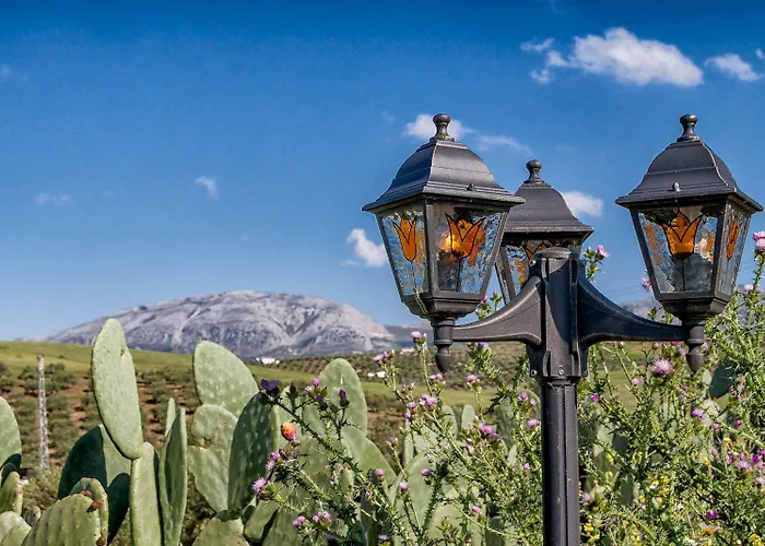 Bed & Breakfast Dos Alamos 3*
