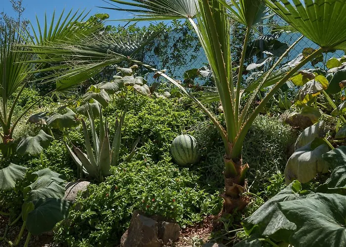 Dos Alamos Bed & Breakfast 3*